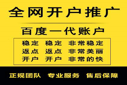 解析sem代运营公司经典案例：如何实现ROI最大化